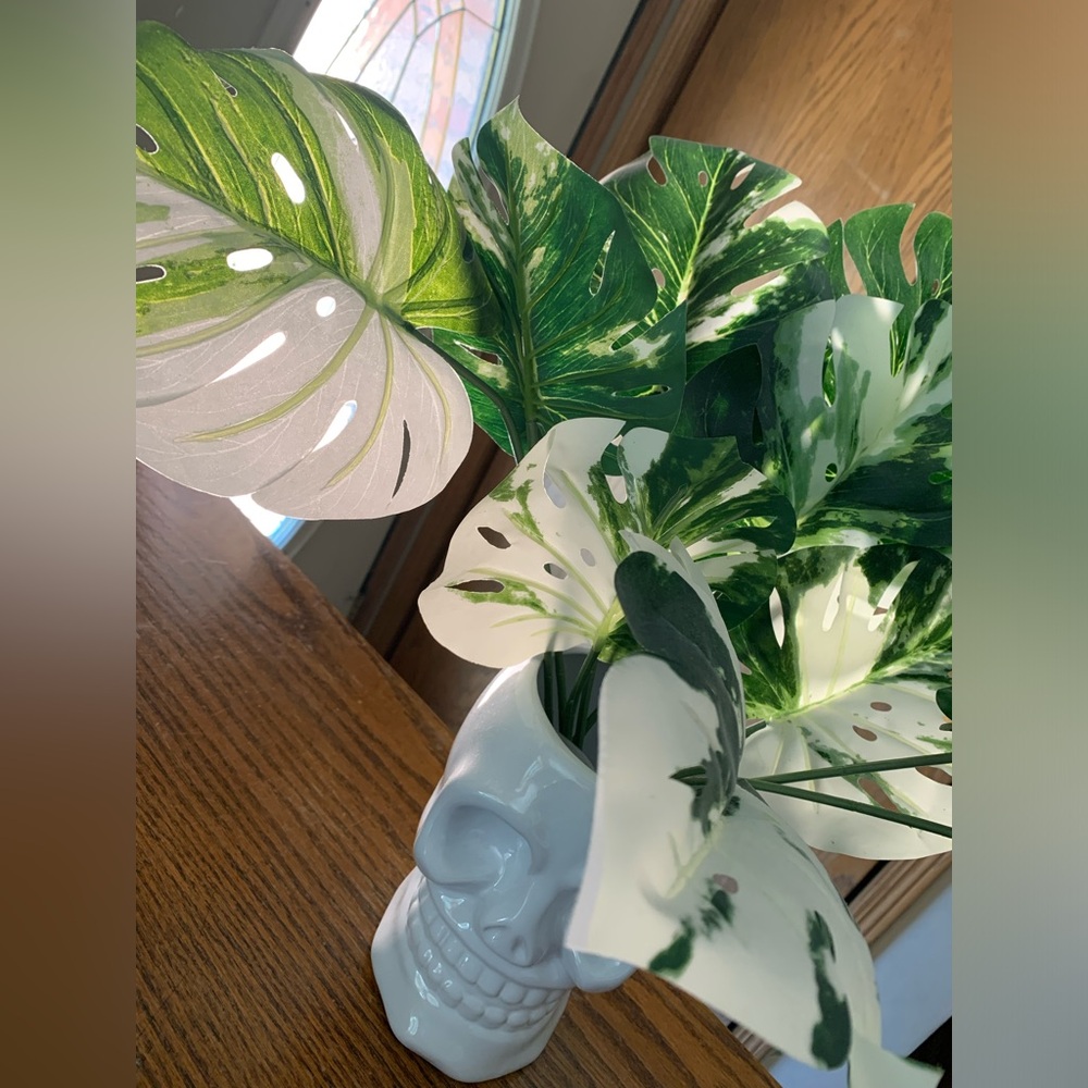 Skull ceramic white vase Variegated monstera leaves bundles halloween - Picture 2 of 9